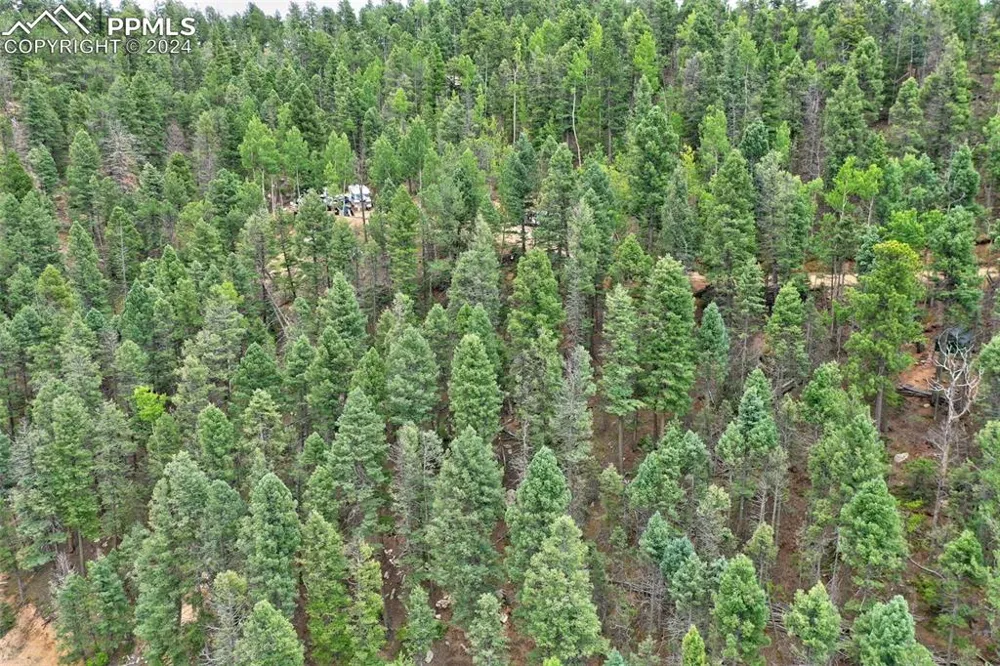 251 Osoeola Road Woodland Park, CO 80863