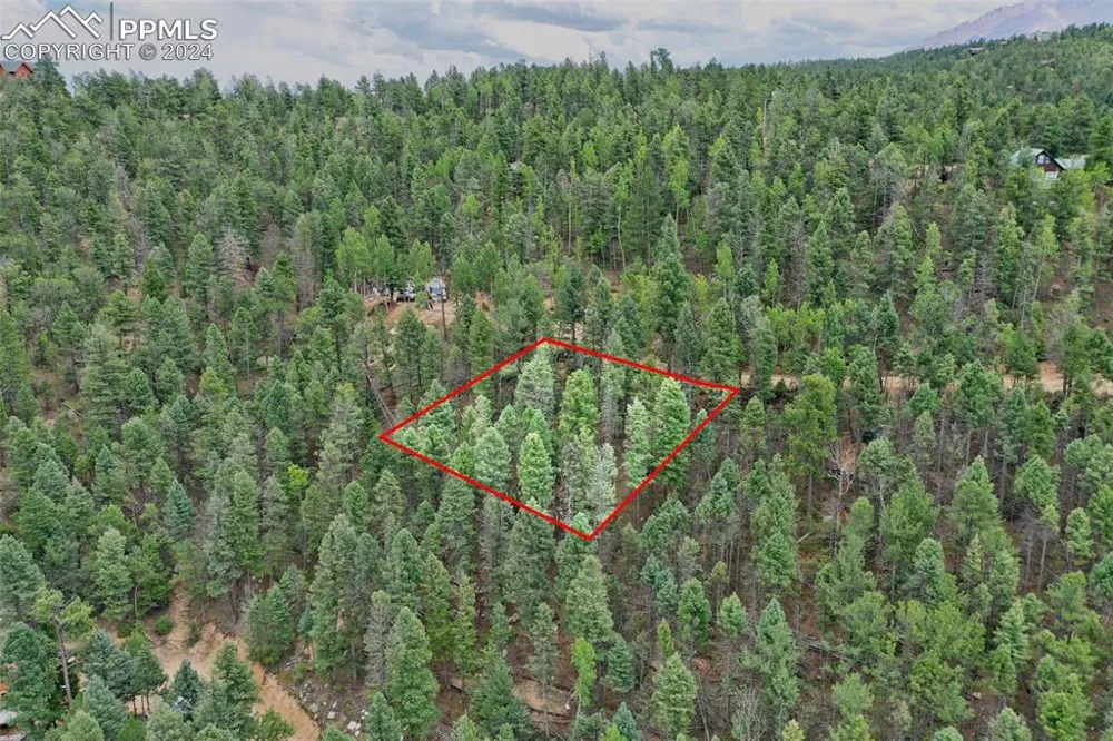251 Osoeola Road Woodland Park, CO 80863