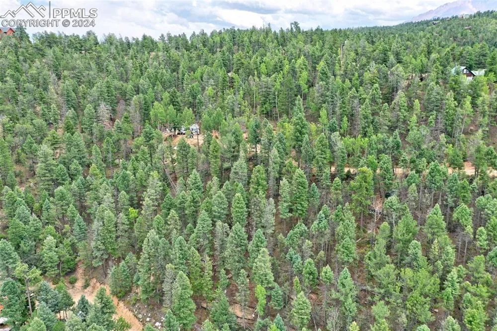 251 Osoeola Road Woodland Park, CO 80863