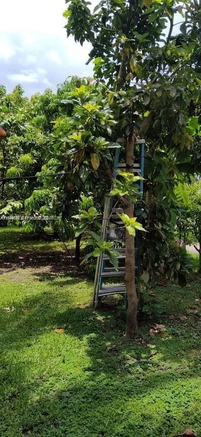 157 SW 65th TERRACE Miami, FL 33193