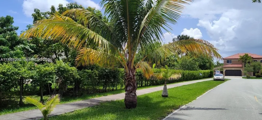 157 SW 65th TERRACE Miami, FL 33193