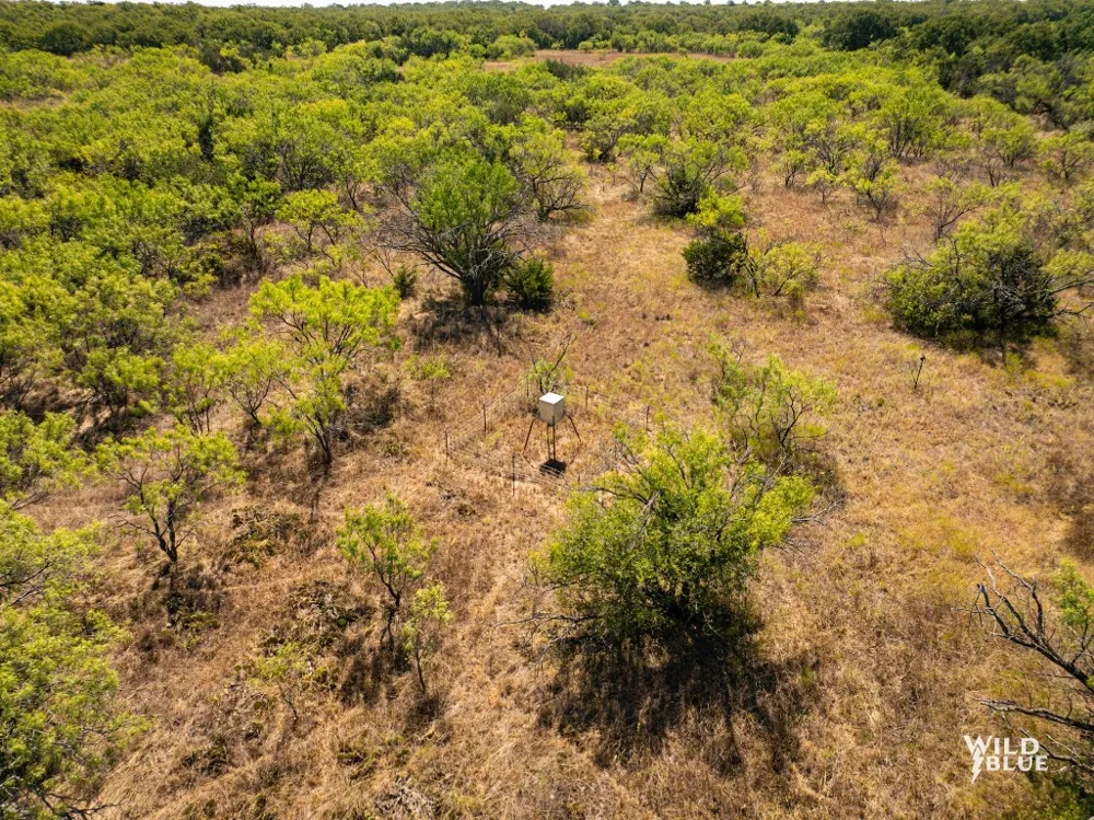 10597 CR 137 Breckenridge, TX 76470