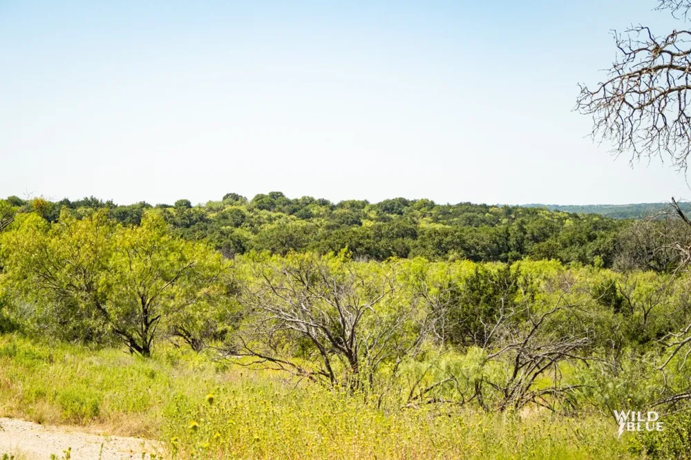 10597 CR 137 Breckenridge, TX 76470