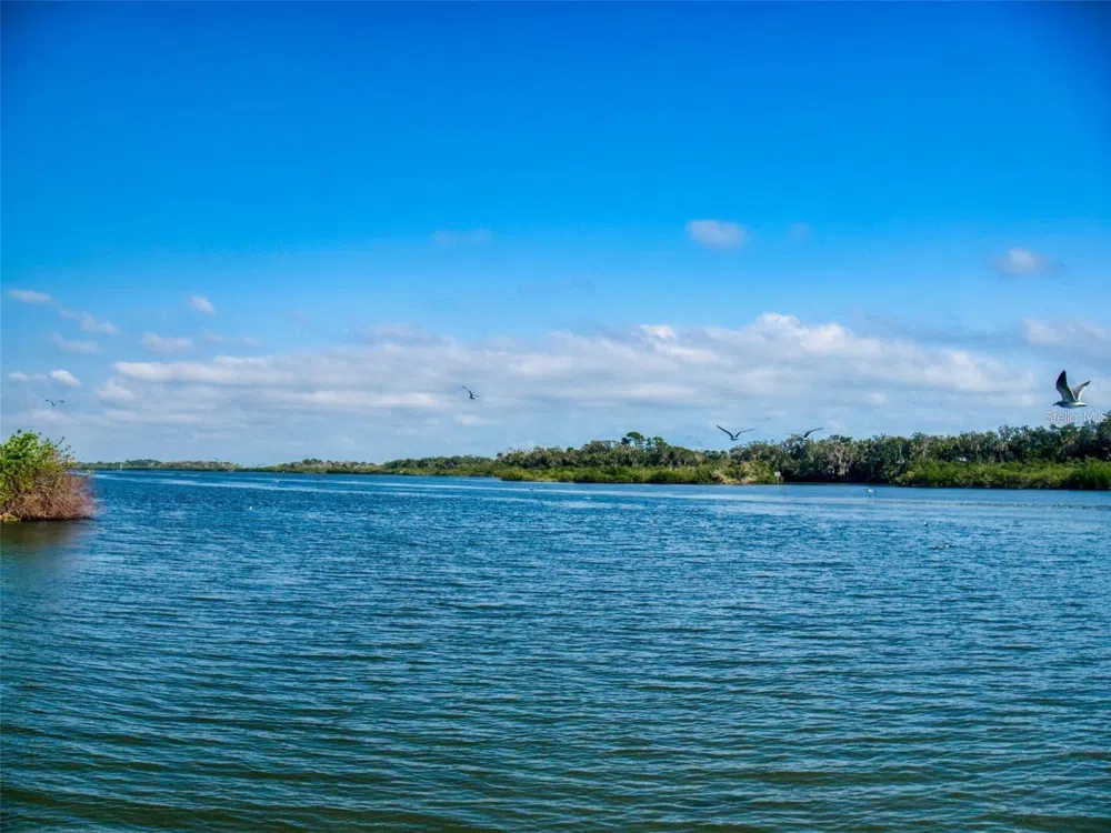 160 RED BASS LANE Edgewater, FL 32141