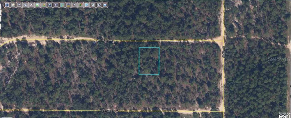 6213 OLGETHORPE AVENUE Keystone Heights, FL 32656