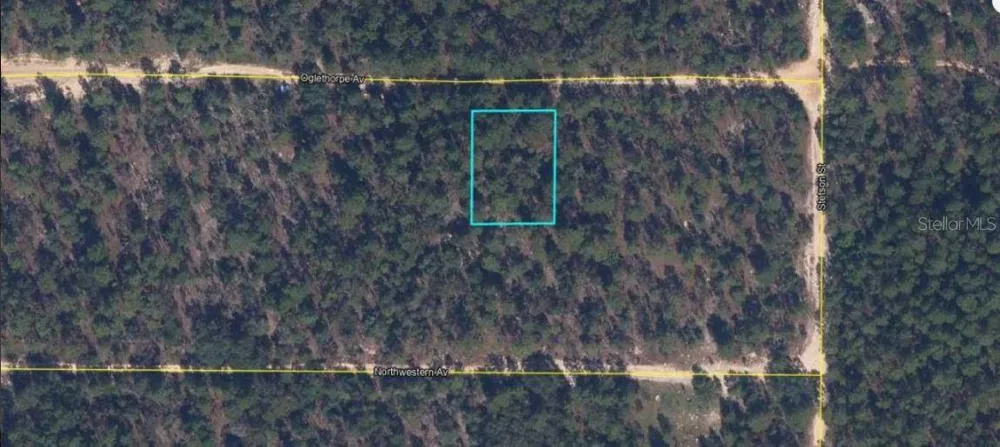 6213 OLGETHORPE AVENUE Keystone Heights, FL 32656