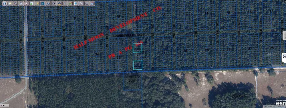 GAINESVILLE AVE Newberry, FL 32669