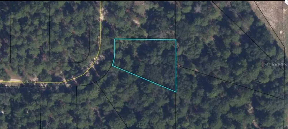7231 LEHIGH DRIVE Keystone Heights, FL 32656