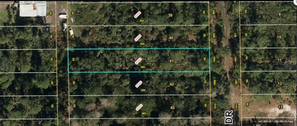 1000 GREENBRIAR DRIVE Christmas, FL 32709