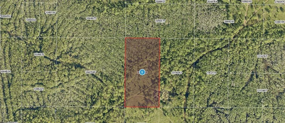 SALYERS ROAD Clermont, FL 34714