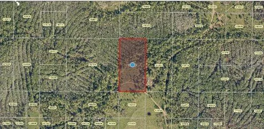 SALYERS ROAD Clermont, FL 34714