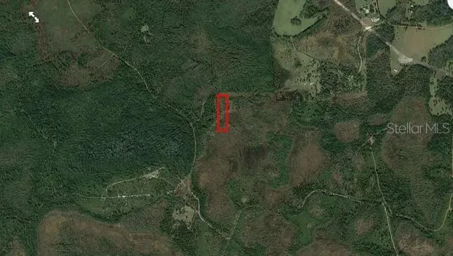 SALYERS ROAD Clermont, FL 34714