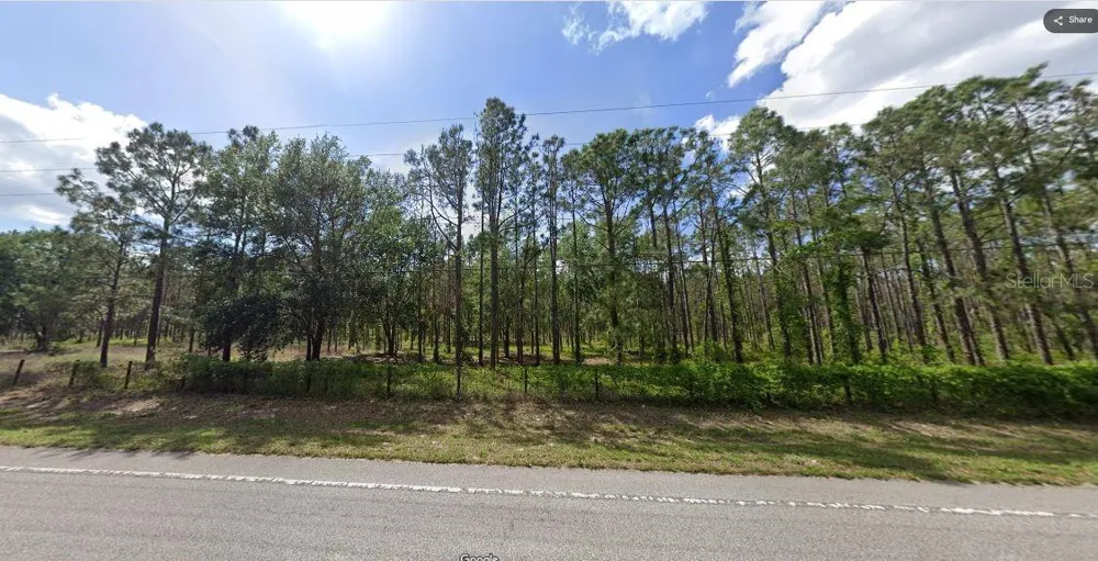 CR-33 Groveland, FL 34736