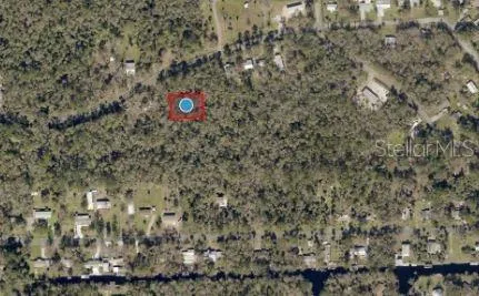 RIVER ROAD Astor, FL 32102