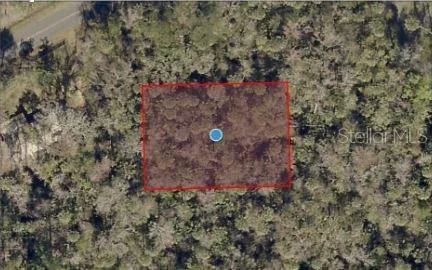 RIVER ROAD Astor, FL 32102