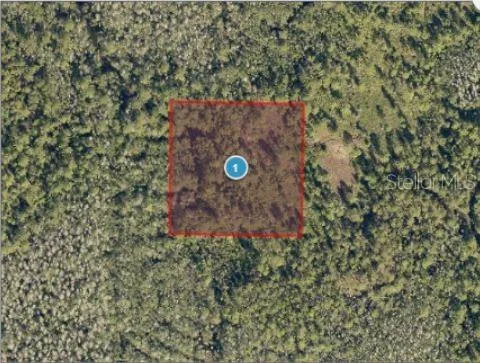 SALYERS ROAD Clermont, FL 34714