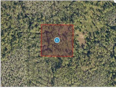 SALYERS ROAD Clermont, FL 34714