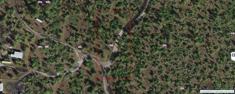 HOLOPAW GROVES ROAD