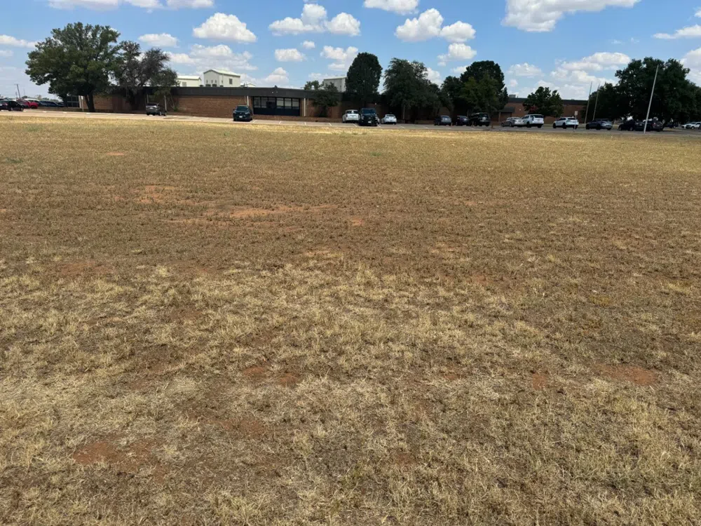 1012 E Grace Street Brownfield, TX 79316
