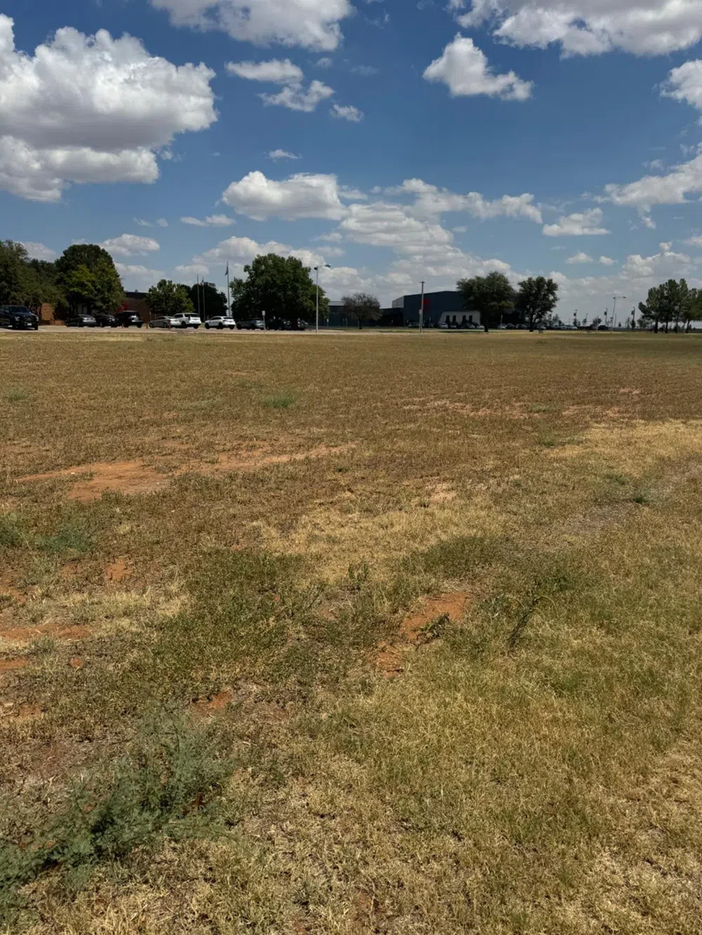 1014 E Grace Street Brownfield, TX 79316
