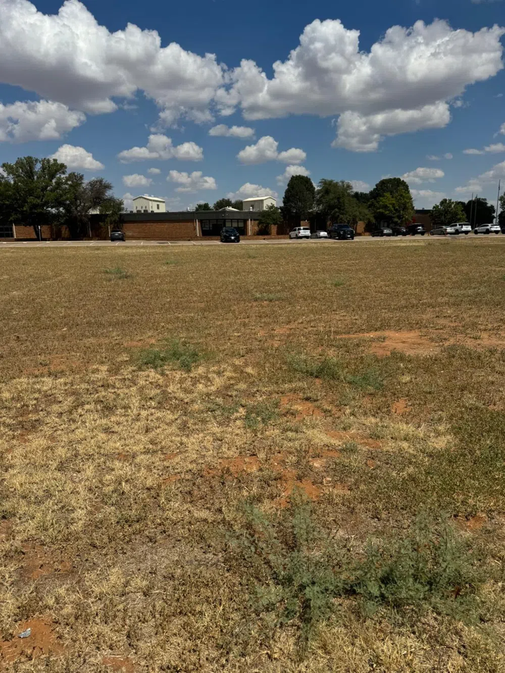 1014 E Grace Street Brownfield, TX 79316
