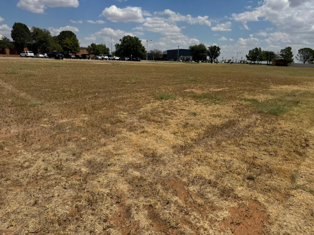 1014 E Grace Street Brownfield, TX 79316