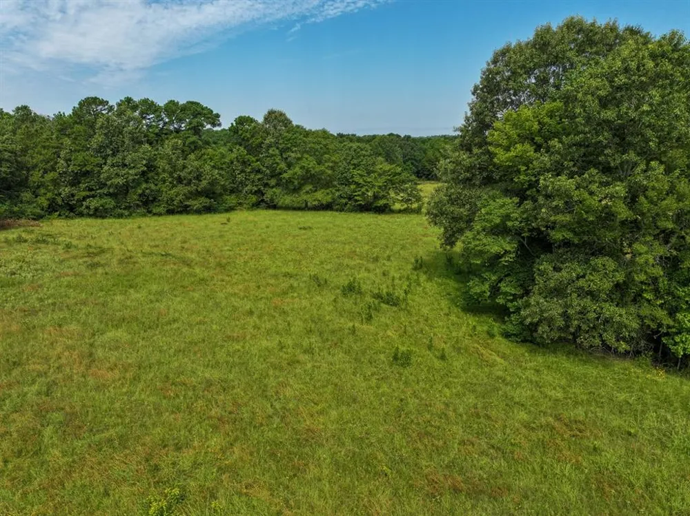 1 FM 2867 Henderson, TX 75654