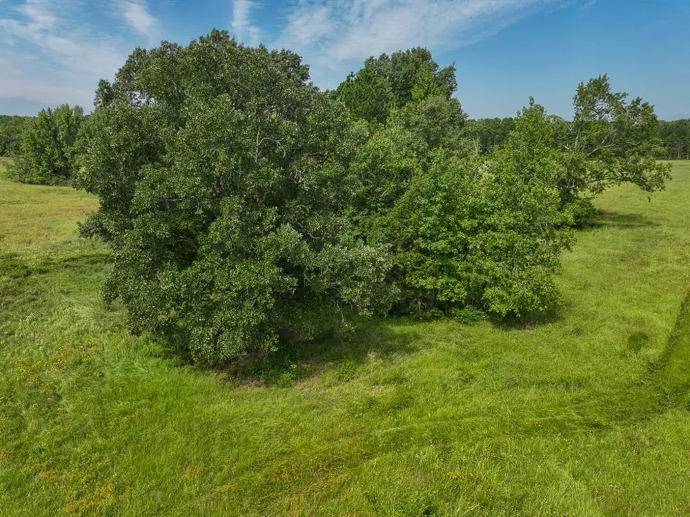 1 FM 2867 Henderson, TX 75654