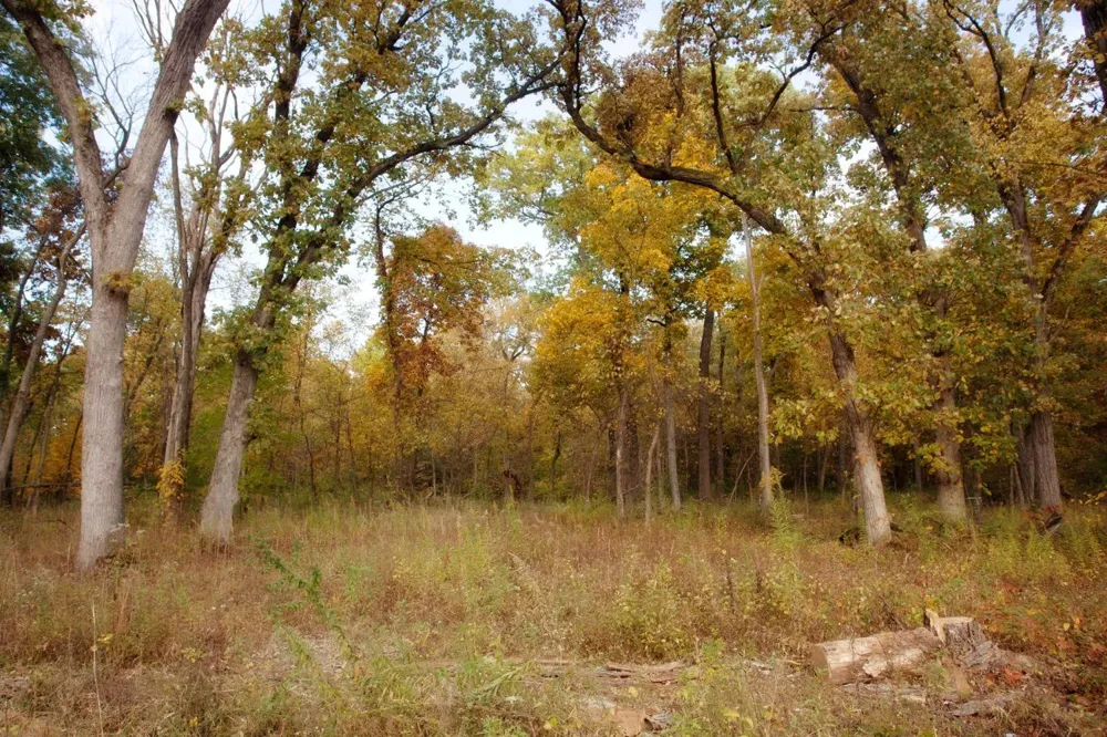 3820-lot 83 167th Avenue Lowell, IN 46356