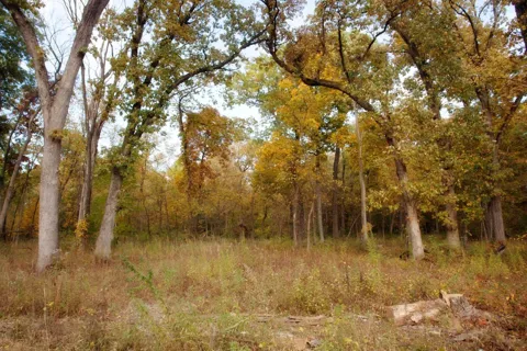 3820-lot 83 167th Avenue