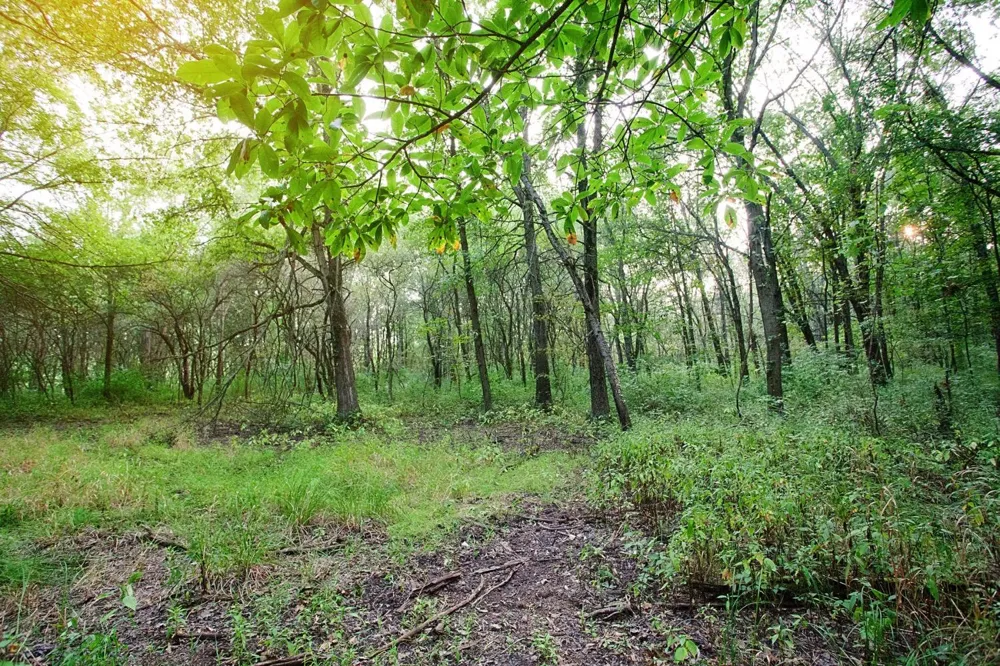 3820-lot 83 167th Avenue Lowell, IN 46356