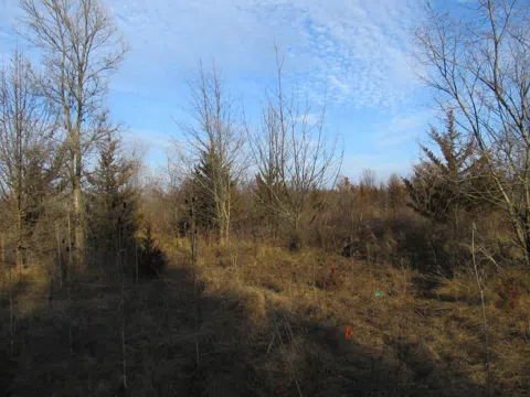 0-Lot 12 Grant Street