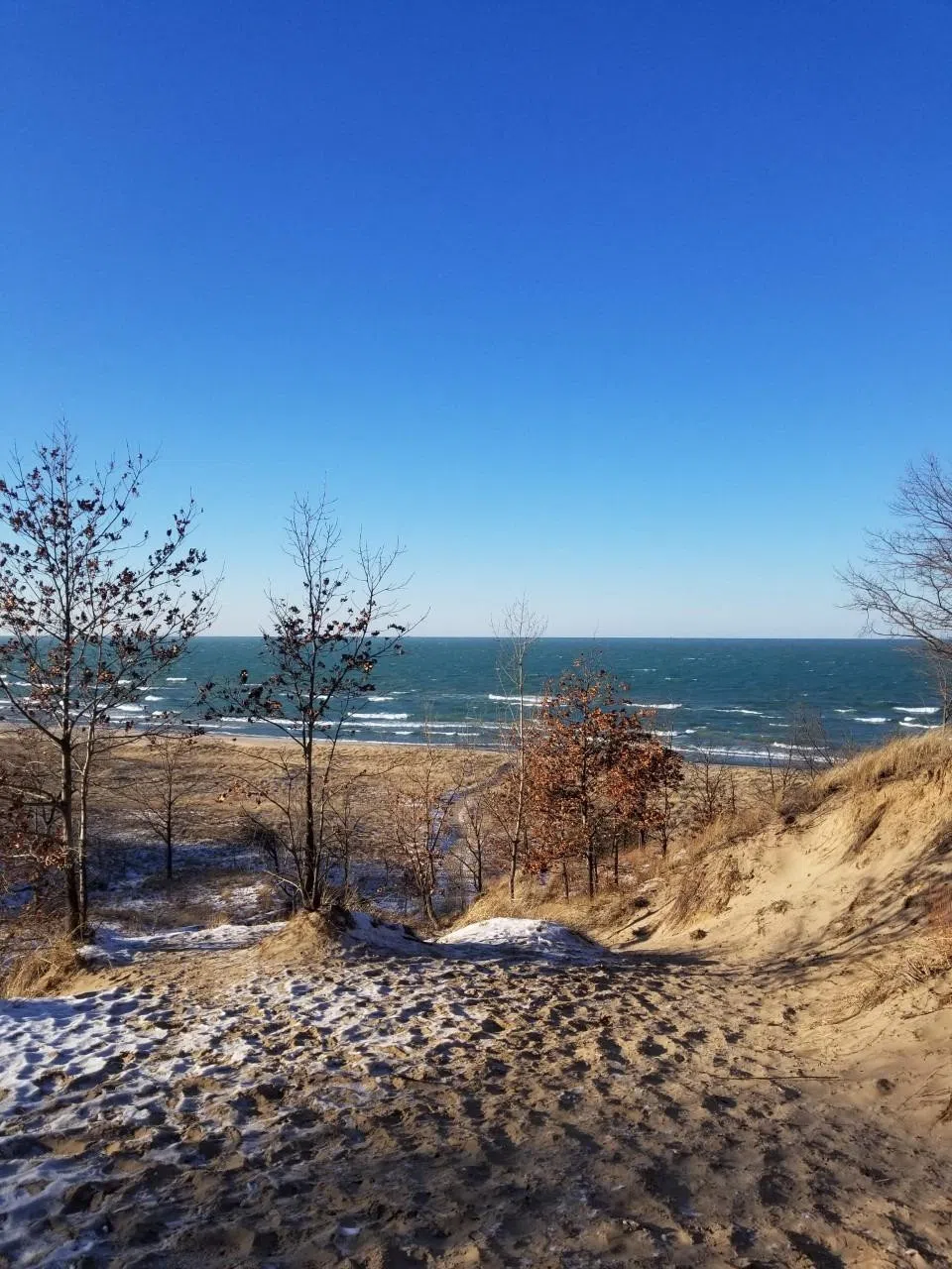 0 Michael Dr. Lot 135 Chesterton, IN 46304