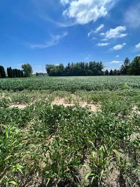 0-Lot 1 Wood Road