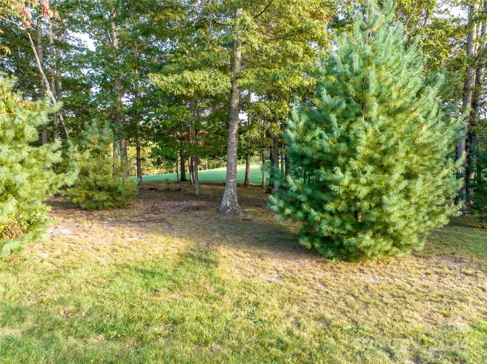 337 Chukar Way #Lot 21 Fletcher, NC 28732