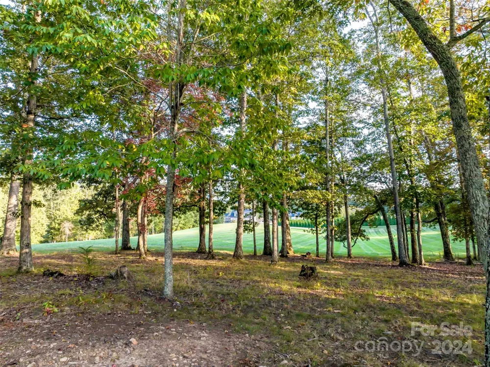 337 Chukar Way #Lot 21 Fletcher, NC 28732
