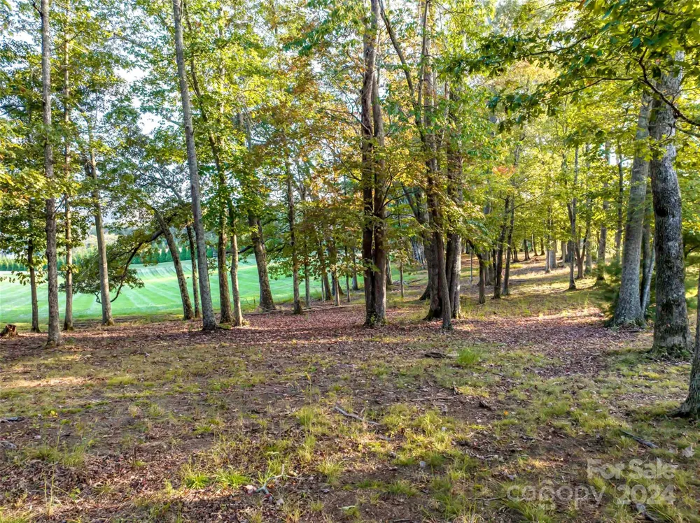 337 Chukar Way #Lot 21 Fletcher, NC 28732