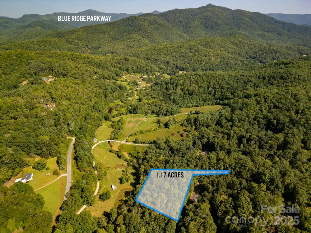 Lot 8 Sweetwater Ridge Road #8 Balsam Grove, NC 28708