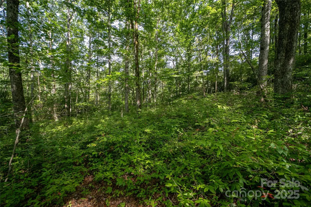Lot 8 Sweetwater Ridge Road #8 Balsam Grove, NC 28708