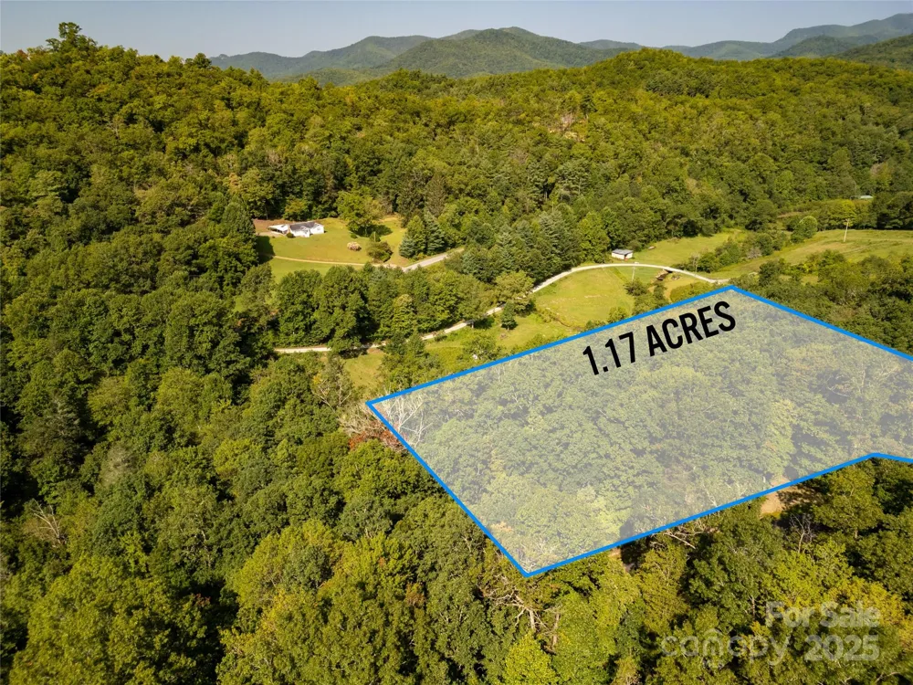 Lot 8 Sweetwater Ridge Road #8 Balsam Grove, NC 28708