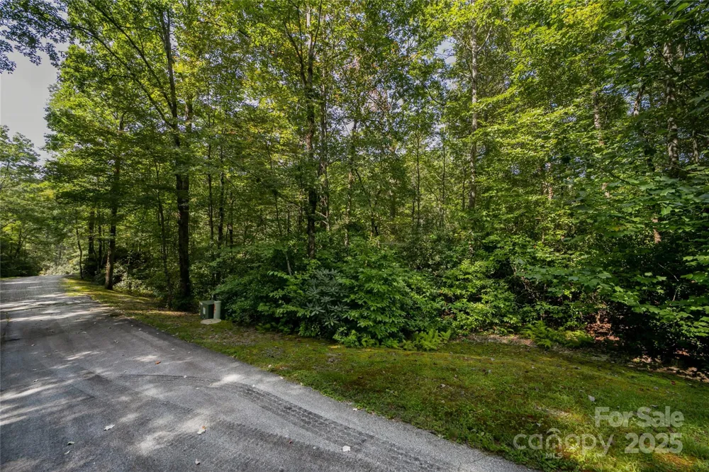 Lot 7 Sweetwater Ridge Road #7 Balsam Grove, NC 28708