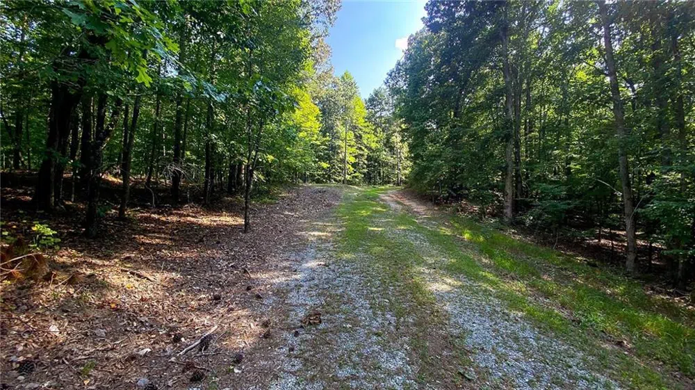 2979 Nathan Dean Parkway Rockmart, GA 30153