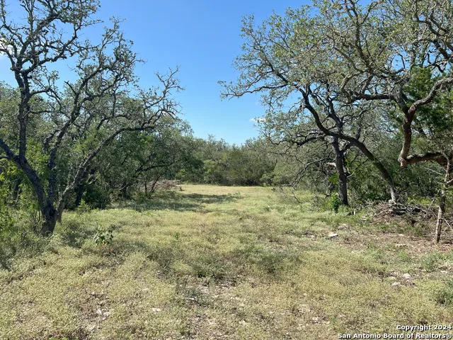424 PR 324 Dhanis, TX 78850