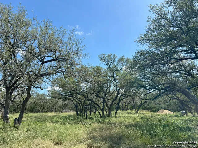 424 PR 324 Dhanis, TX 78850