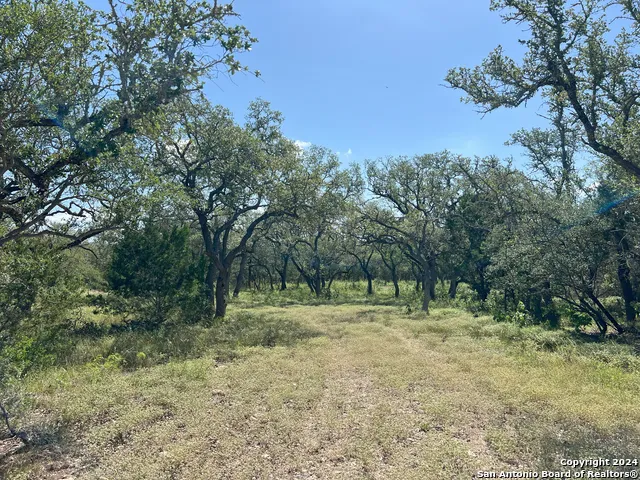 424 PR 324 Dhanis, TX 78850