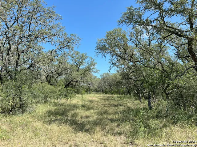 424 PR 324 Dhanis, TX 78850