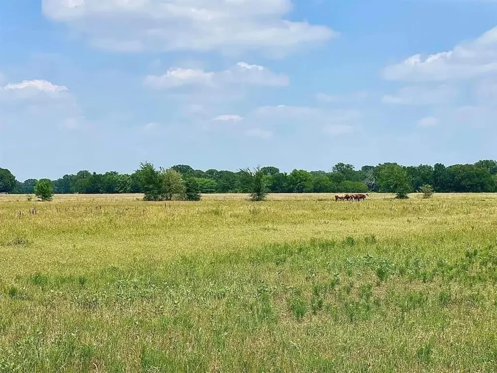 12053 S 34 Highway Scurry, TX 75158