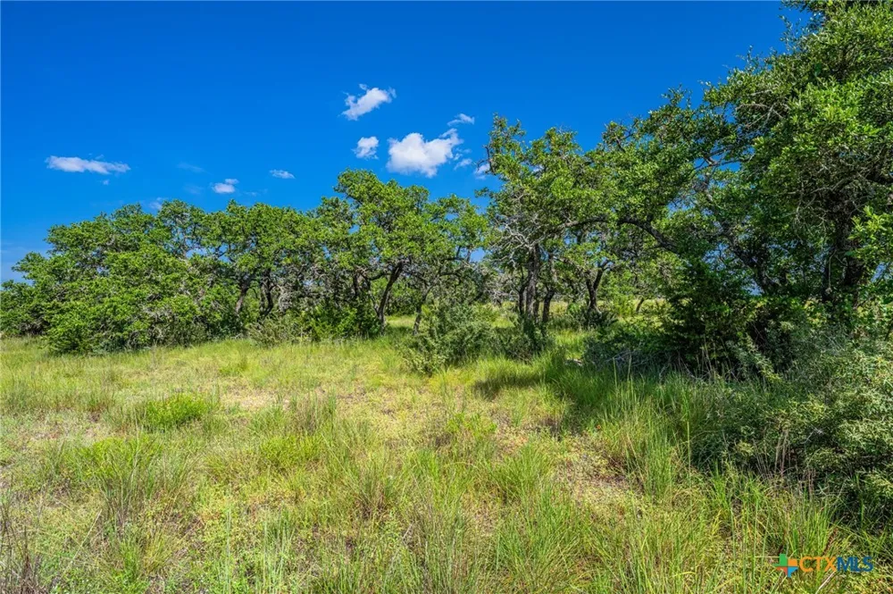 613 Cattle Creek Road Johnson City, TX 78636