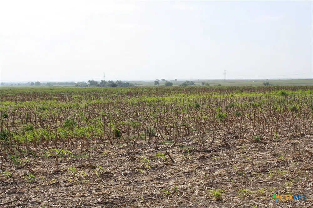 Gooseneck Road #4 Bartlett, TX 76511