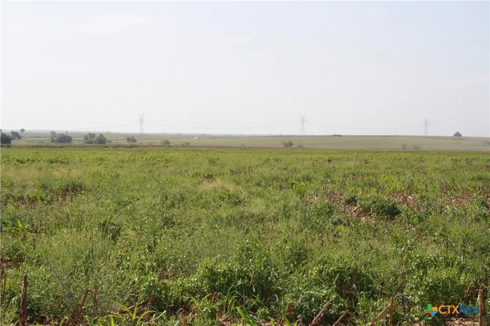 Gooseneck Road #4 Bartlett, TX 76511